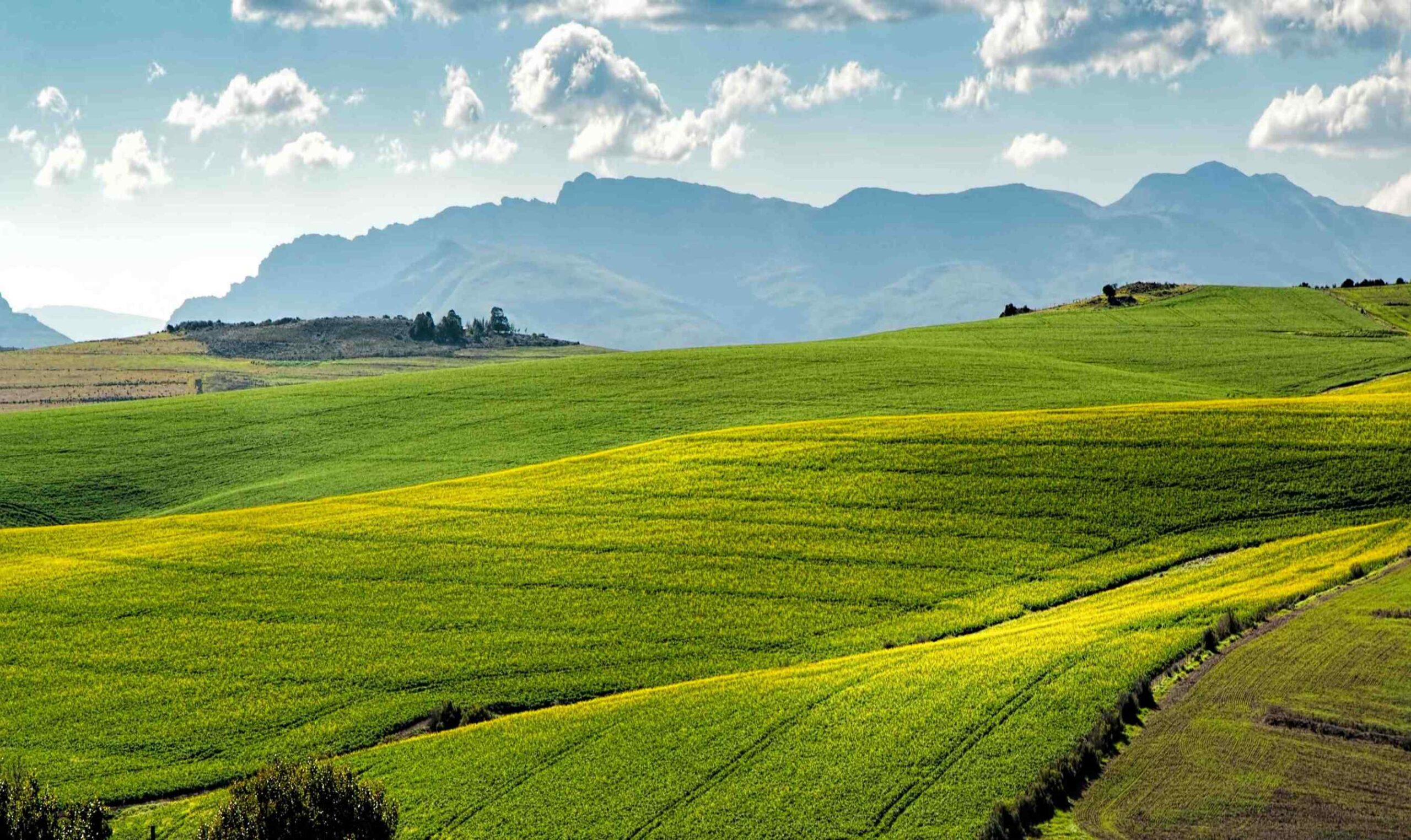Romanian renewable energy landscape for solar, wind and battery storage investors